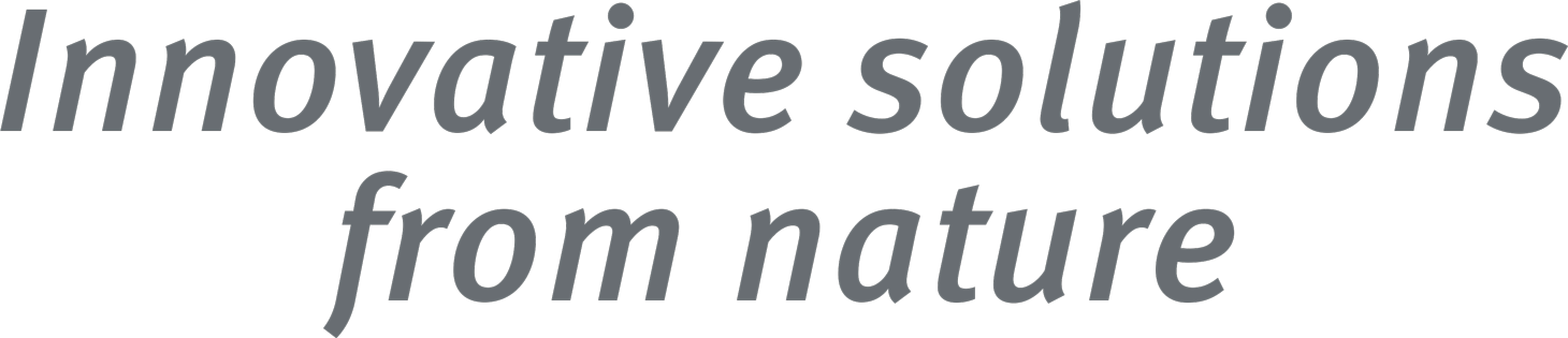 bi buch blutegeltherapie 1684